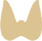 unu_main_icon_thyroid_3